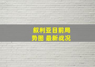 叙利亚目前局势图 最新战况